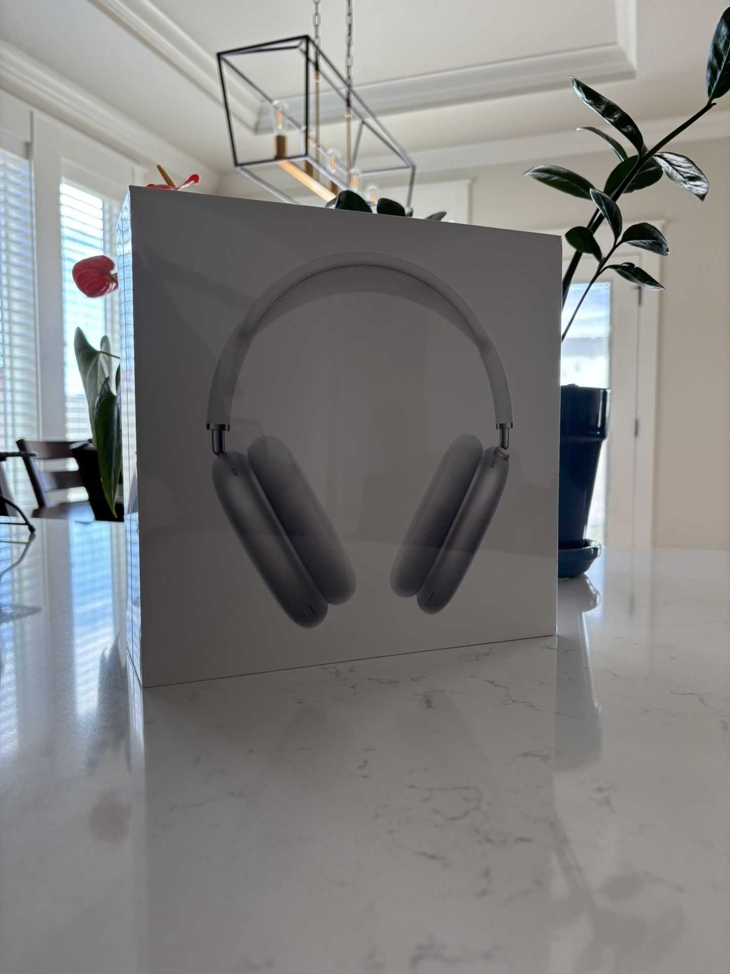 AirPod AirMax Silver Headphones
