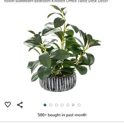 AlphaAcc Artificial Plants Decor Greenery Fake Succulents Indoor Potted Fake Plant with Rustic Black Clay Planter for Farmhouse Room Bathroom Bedroom 