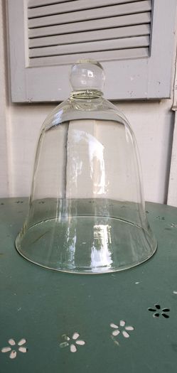 Bell Shaped Glass Cloche Dome