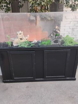 112 Gallon Acrylic Aquarium with Stand and Canopy