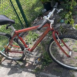 Specialized RockHopper Mountain Bike 