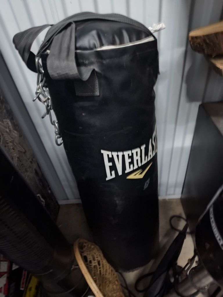 Everlast Punching Bag