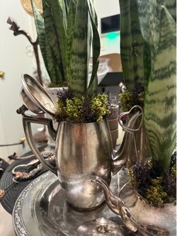 Prices vary: ( starting at $8.00)one of a kind plant arrangements,  various sizes, and handmade  birdbaths