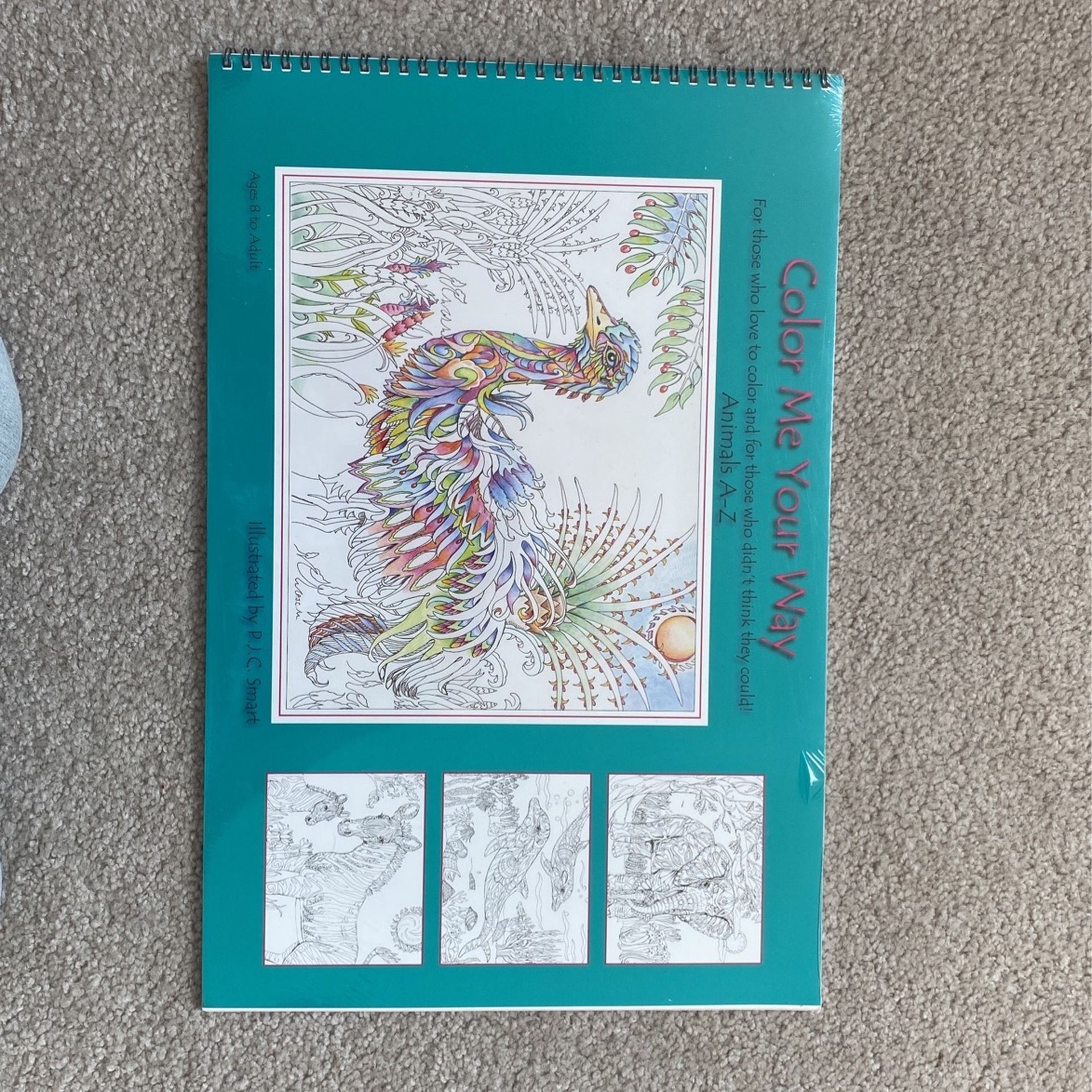 Children’s Coloring Book