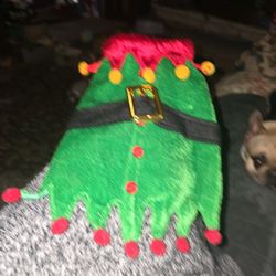Elf Oufit For Cat Or Small Dog