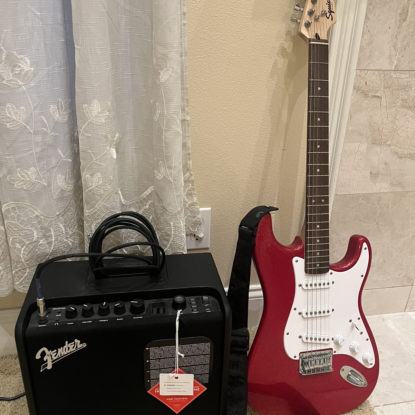 Guitar & Amp For Sale!