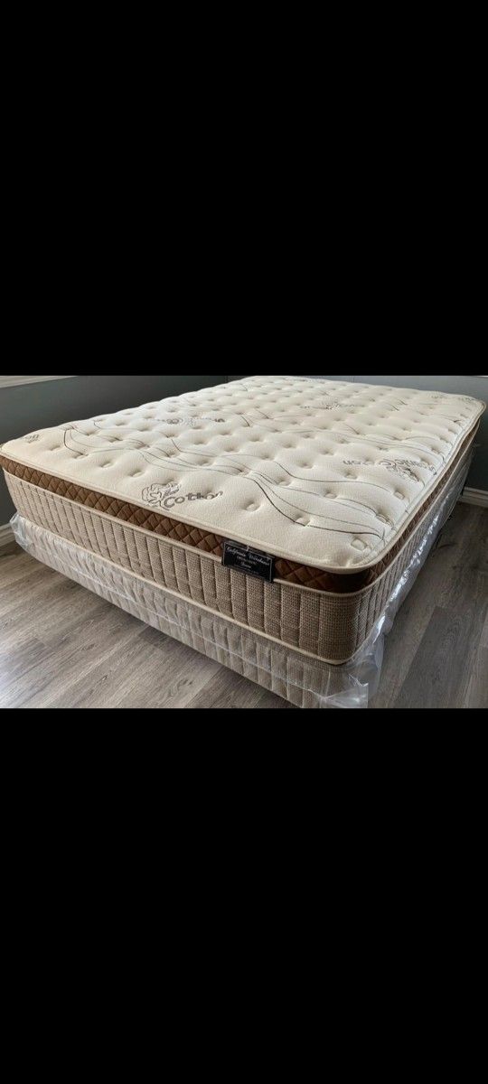 Full Organic Cloud Edition Europillowtop MatresAndboxspring!!!!