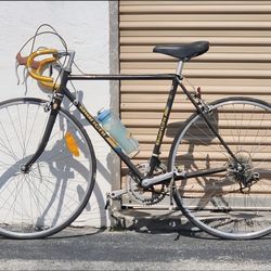 Bianchi sport SS limited edition