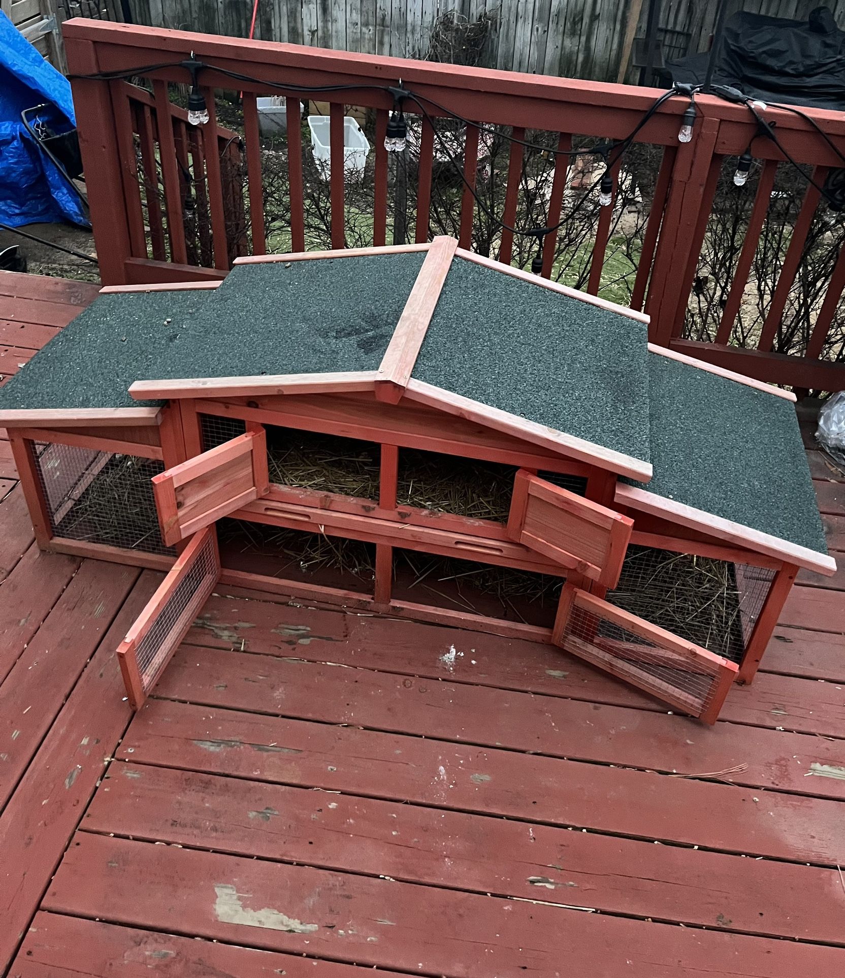Chicken Coop/Rabbit Hutch