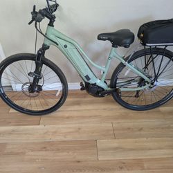 Giant Electric Bike