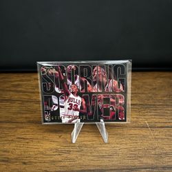 Scottie Pippen Flair Card