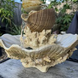 BEAUTIFUL CORAL & SHELL FOUNTAIN 