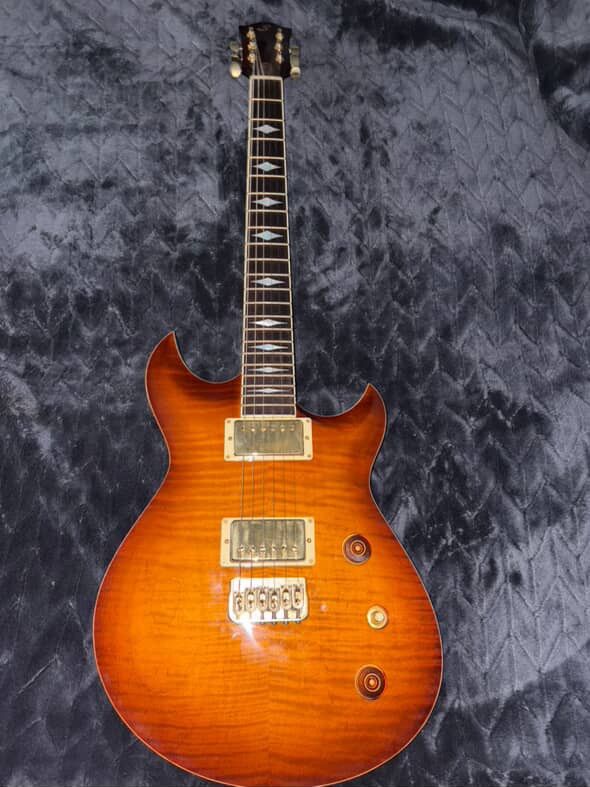 Electric Guitar