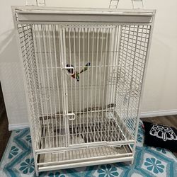 Bird cage