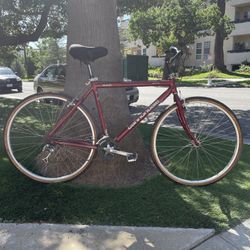 Vintage 90s CAD2 Cannondale H500 Commuter Bike Handmade in USA - 20" frame
