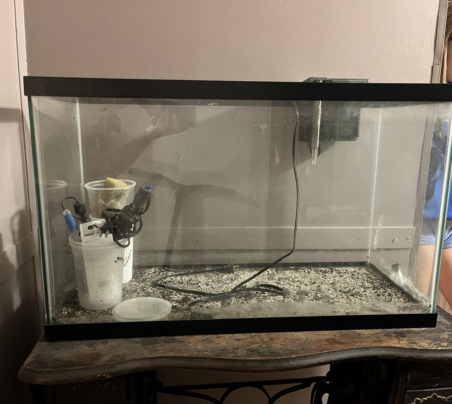Fish Tank / Aquarium