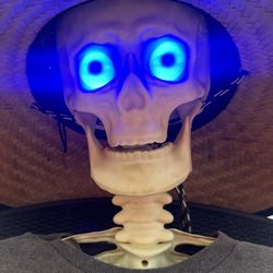 2020-2021  Big Lots LED Hanging “SKELETON” 4ft 10-11in HALLOWEEN Decoration  👀 (please read description)