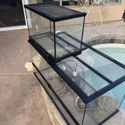 Bearded Dragon Terrarium