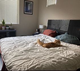 King Bed Frame from Copenhagen