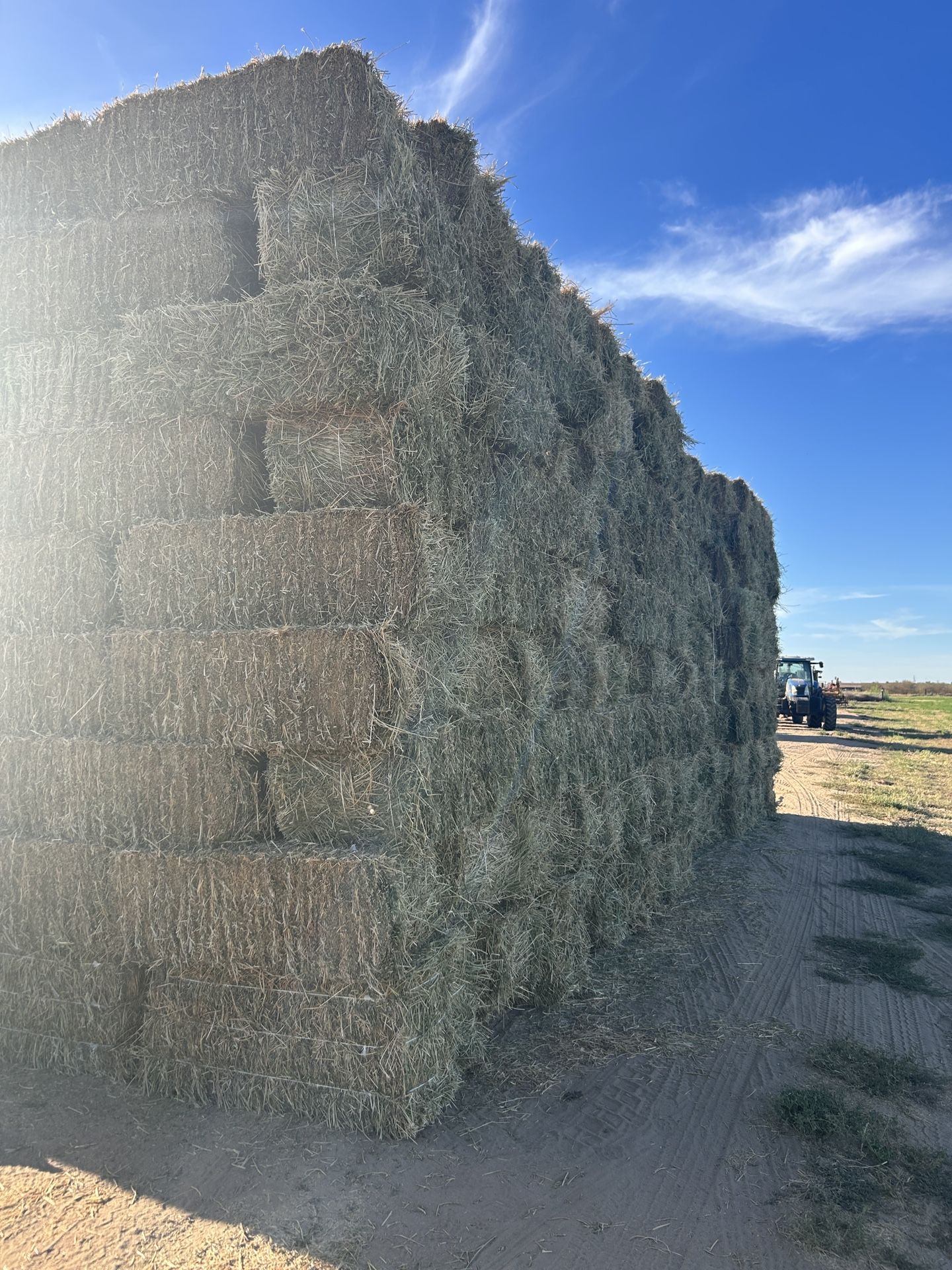 Clean 5 Cut Alfalfa/ 5 Corte Alfalfa limpia 90-100lbs