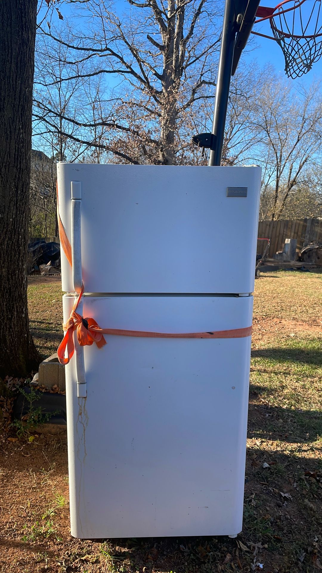 FREE FRIDGE