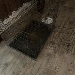 Dog Cage
