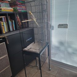 Bird Cage, Clean,  Rolling In Stand
