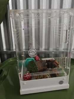 Enclosure for lizards or spider
