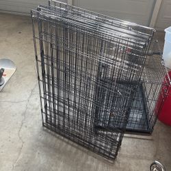 Dog Cage
