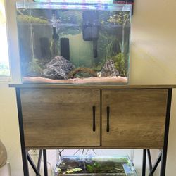 15 Gallon Like New rimless Fish tank With Stand, LED Light & Filter 