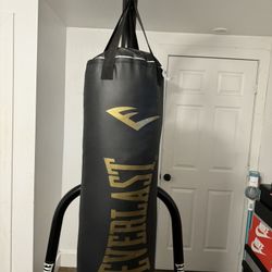 Punching Bag 
