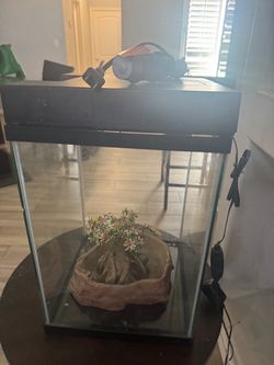 Fish tank