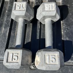 15lb Dumbbells