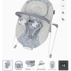 Baby Bouncer 