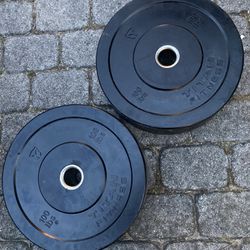Titan Fitness Olympic Rubber Bumper Weight Plates - Pair Of 100 Lb 
