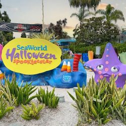 Sea World Tickets