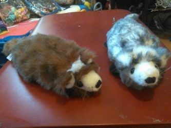 Juguetes para mascota