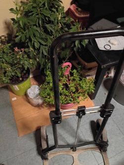 Black Metal Folding Hand Truck Dolly
