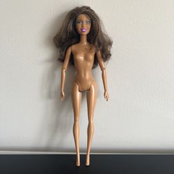 Barbie Fashionistas Nikki Fashion Doll Mattel Fully Articulated 11.5in