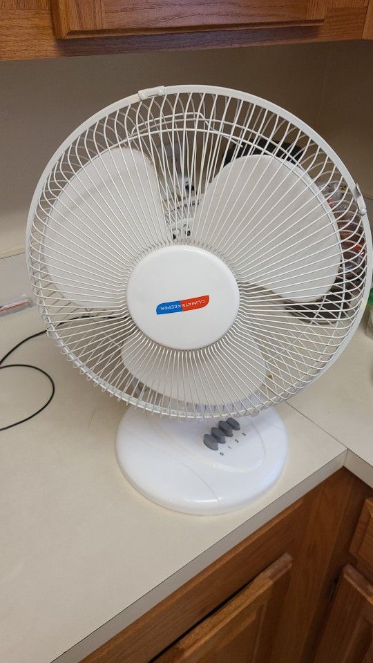 Small Fan