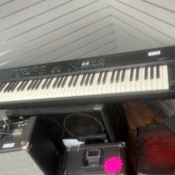 Roland Rd300nx