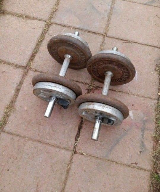 Dumbbells 2x35lbs