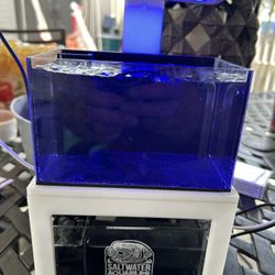 40 Oz Micro Reef Tank