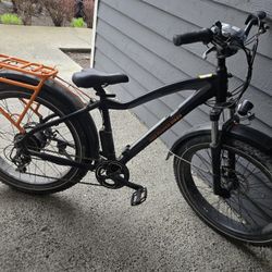 Rad Electric Bike