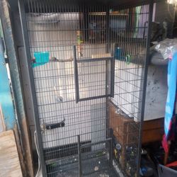 Tall Bird Cage On Wheels For Sale 150