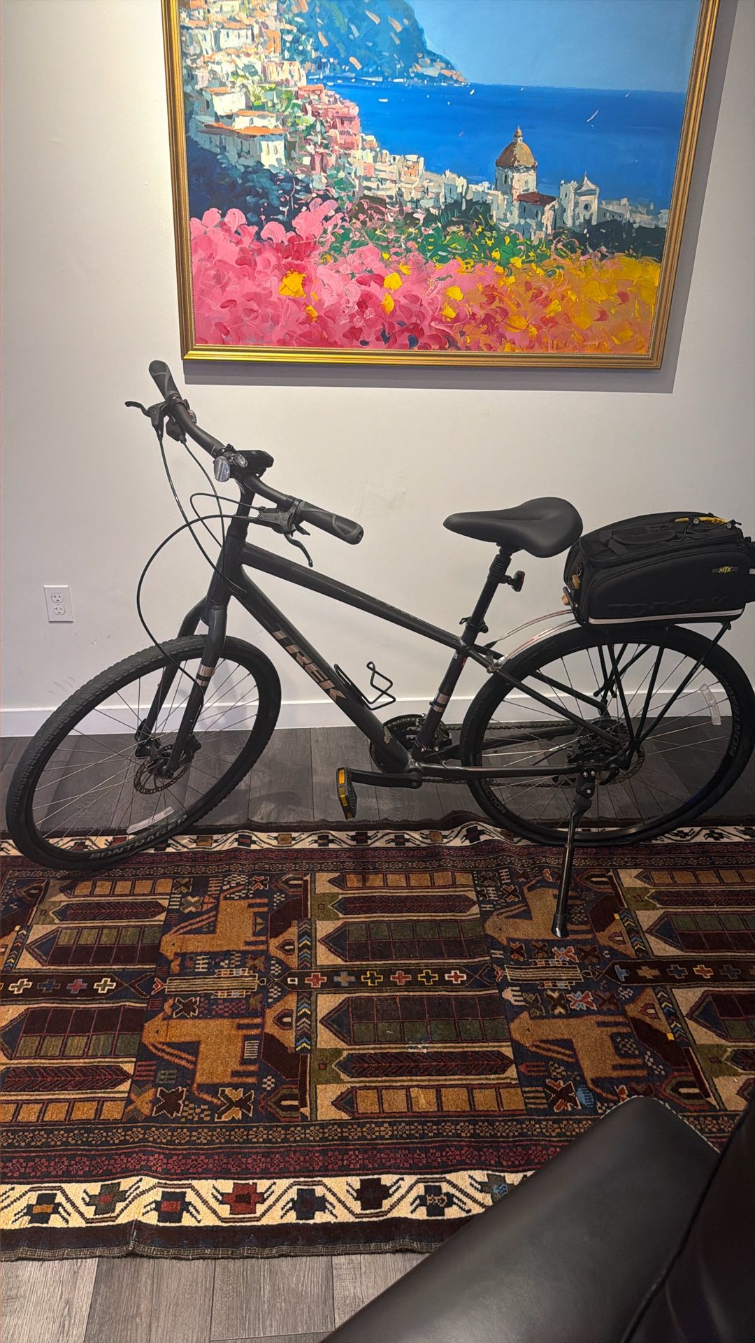 Trek Verve 2 Hybrid Bike