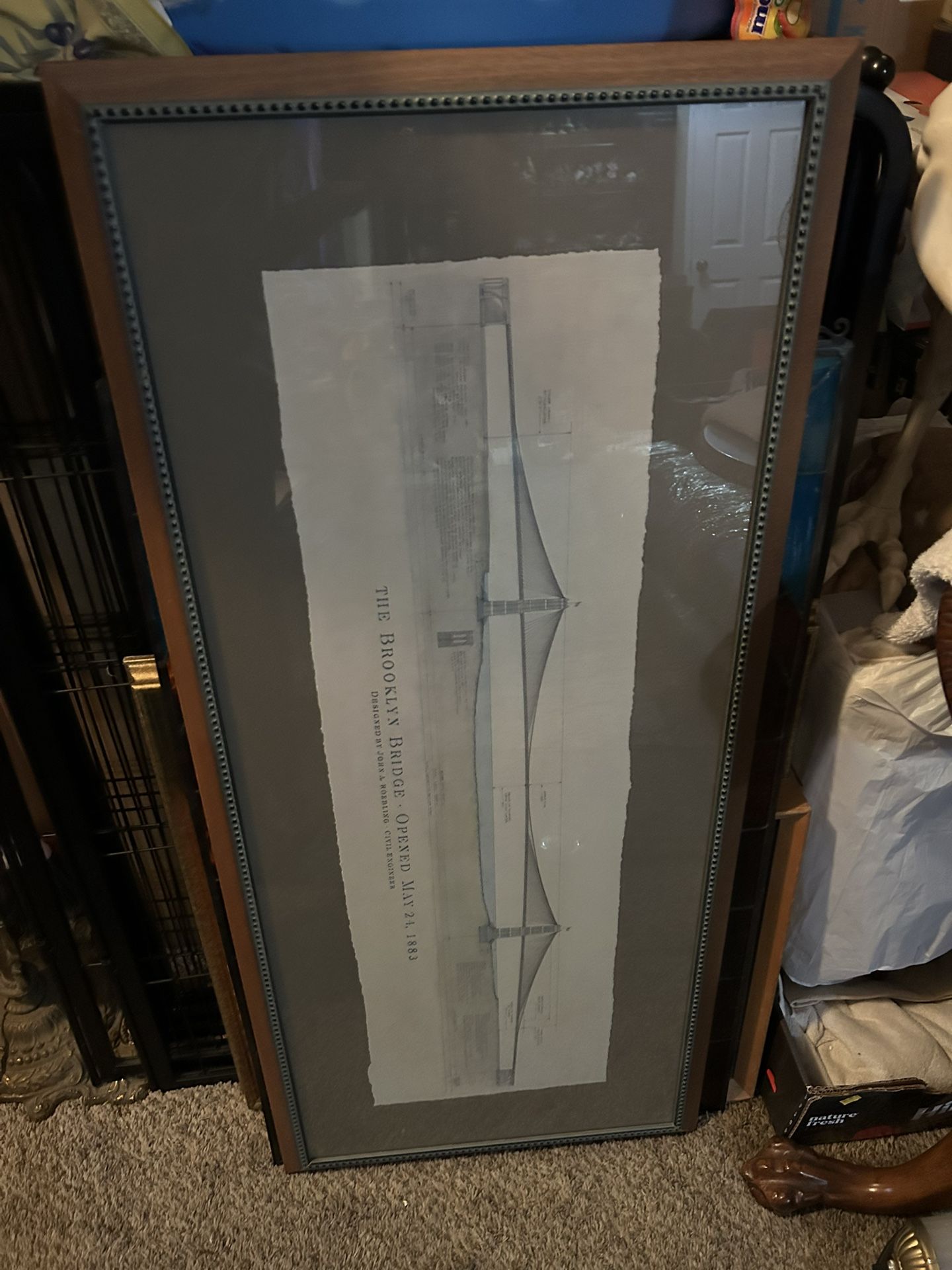 All Pictures Are 20 Each