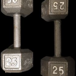 Pair 25 Lb Dumbells