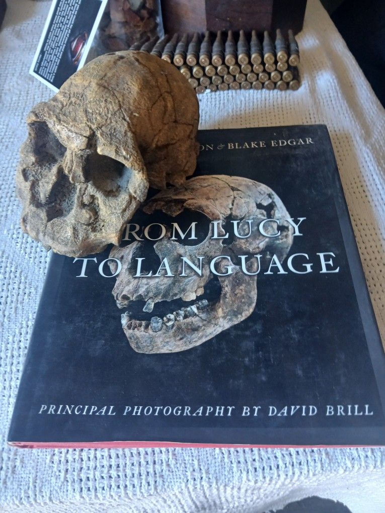 Book And Skull