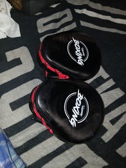Mma and boxing mits
